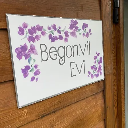 Lodge Begonvil Evi