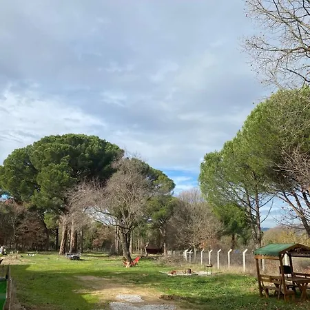 Begonvil Evi * Izmir